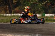 DSC_0208 (2)